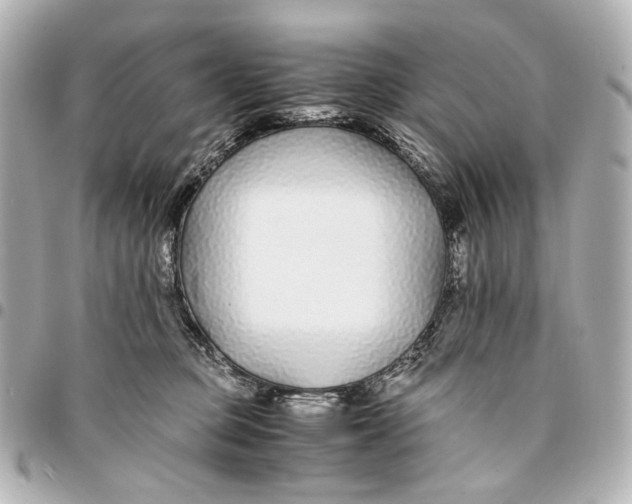 X0000094970373200712201228