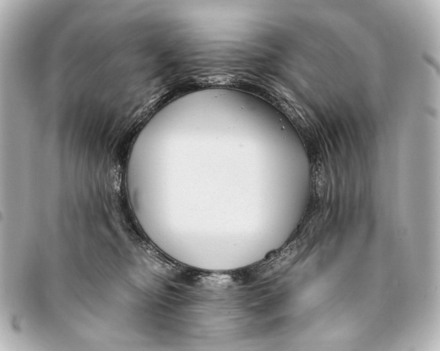 X0000094970374200712201228