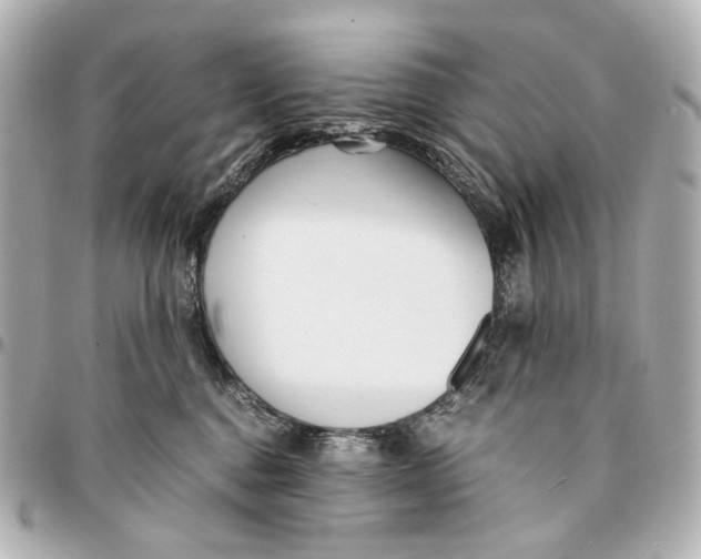 X0000094970376200712201228