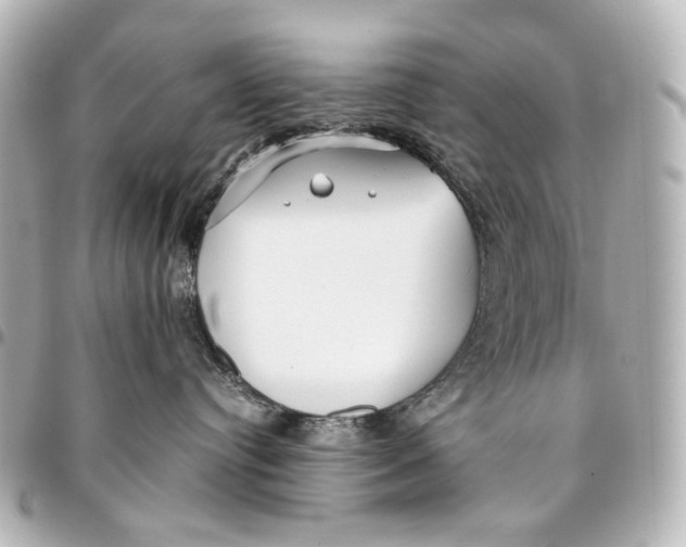 X0000094970384200712201228