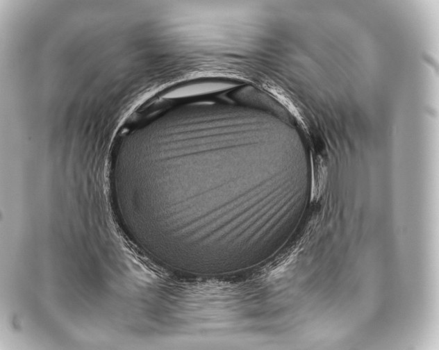 X0000094970387200712201227