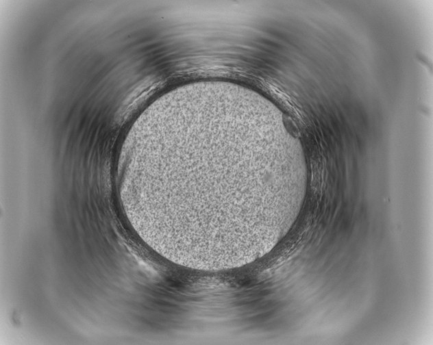 X0000094970390200712201227