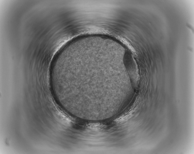 X0000094970391200712201227