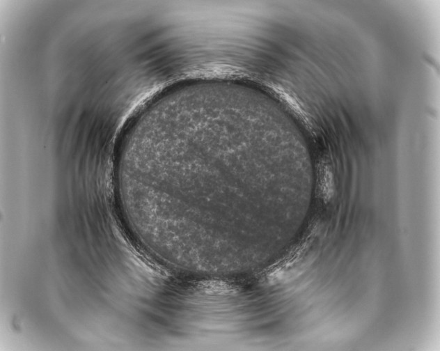 X0000094970392200712201227