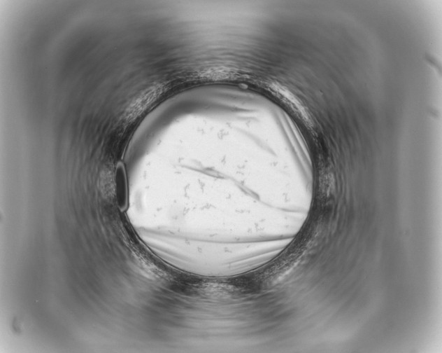 X0000094970393200712201227