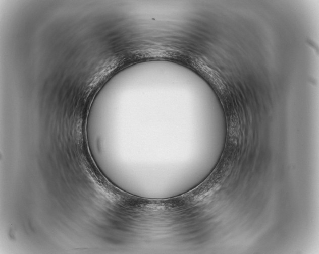 X0000094970394200712201227