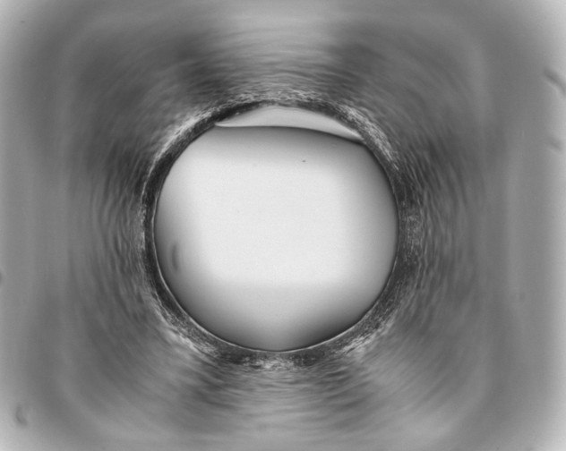 X0000094970395200712201227