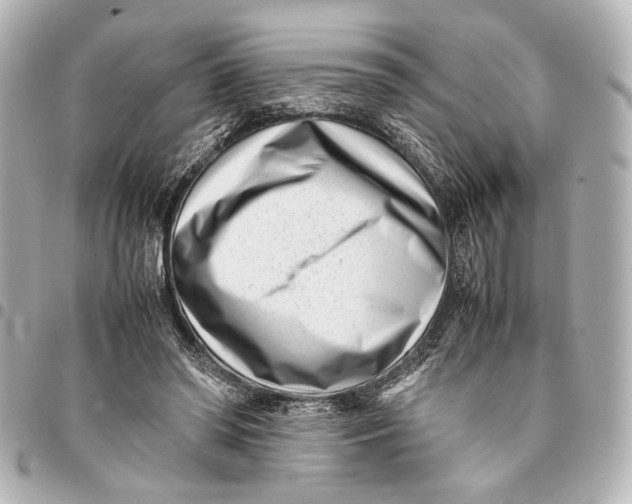 X0000094970398200712201227