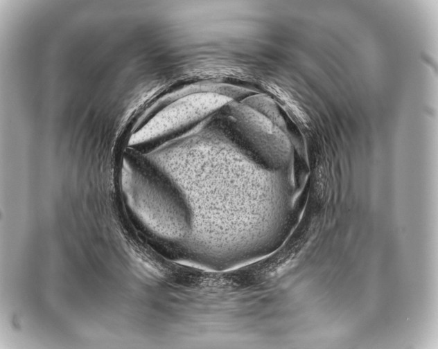 X0000094970399200712201227