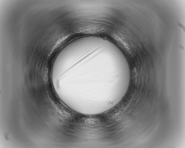 X0000094970400200712201227