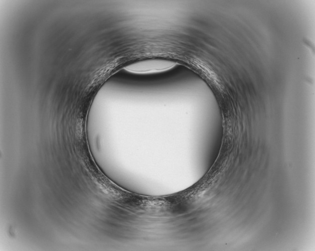 X0000094970401200712201227