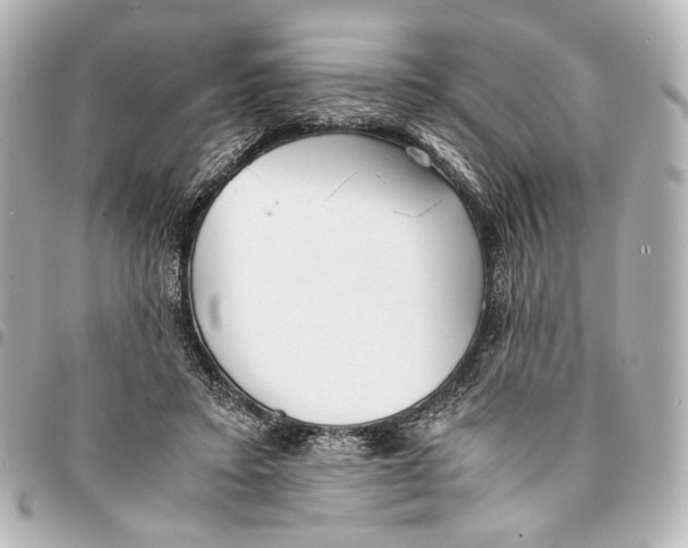 X0000094970403200712201227