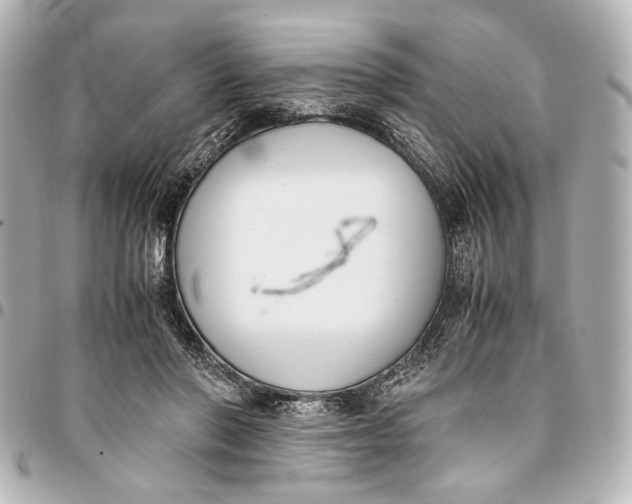 X0000094970406200712201227