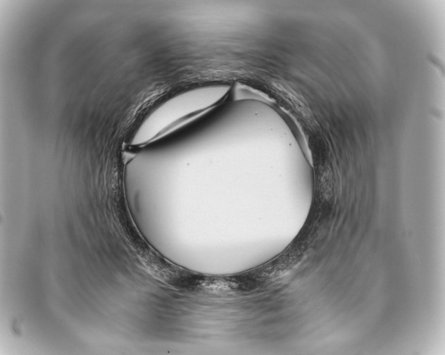 X0000094970407200712201227