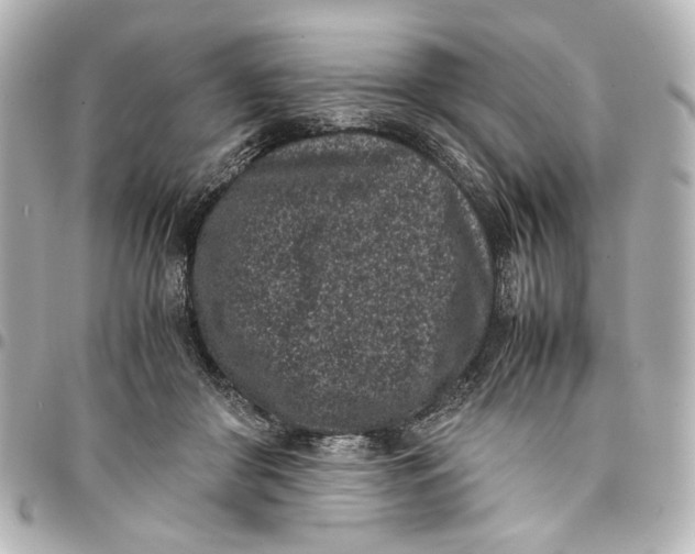 X0000094970410200712201227