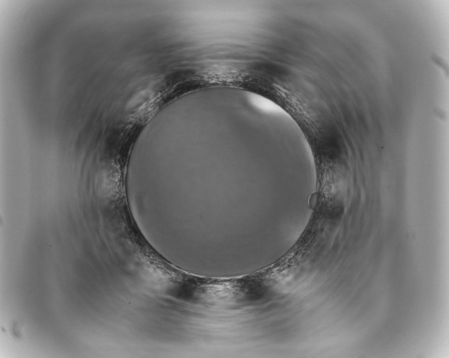 X0000094970411200712201227