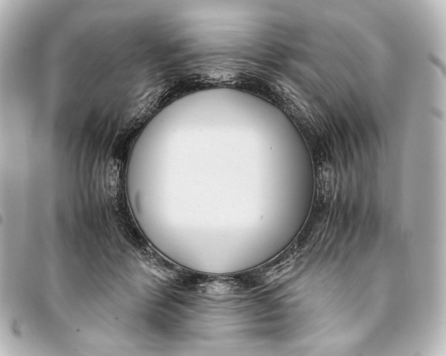 X0000094970412200712201227