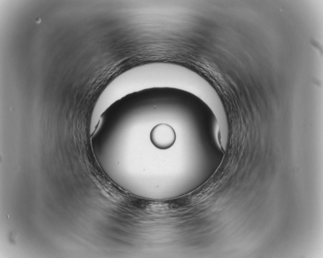 X0000094970413200712201227