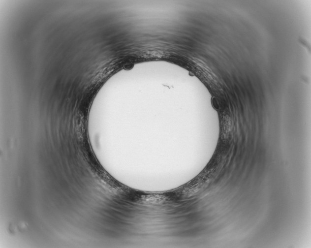 X0000094970414200712201227