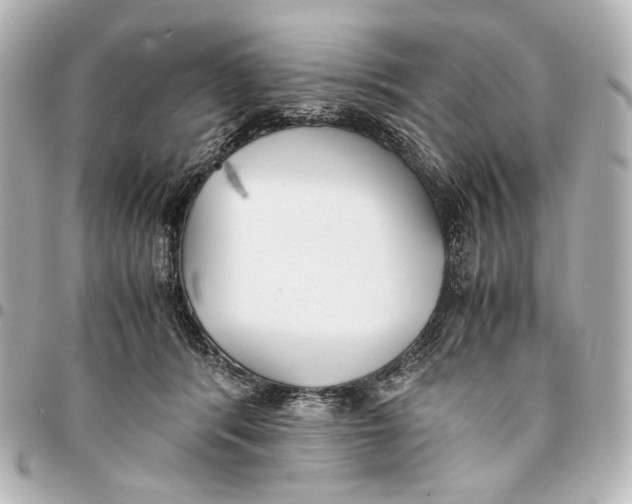 X0000094970416200712201227