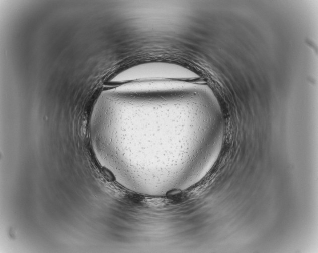 X0000094970417200712201227