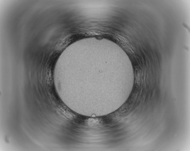 X0000094970418200712201227