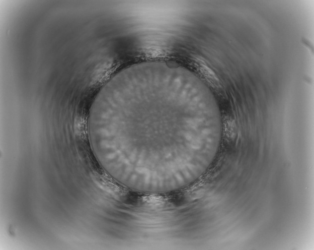 X0000094970419200712201227