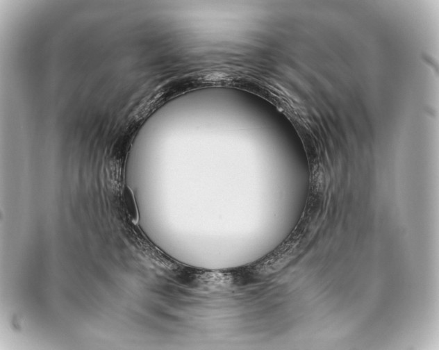 X0000094970421200712201227