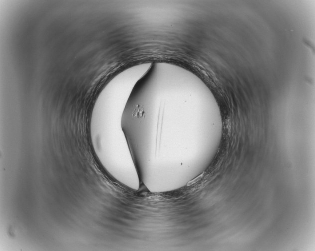 X0000094970423200712201227