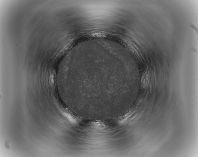 X0000094970424200712201227