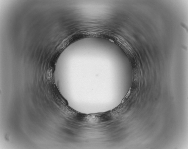 X0000094970425200712201227