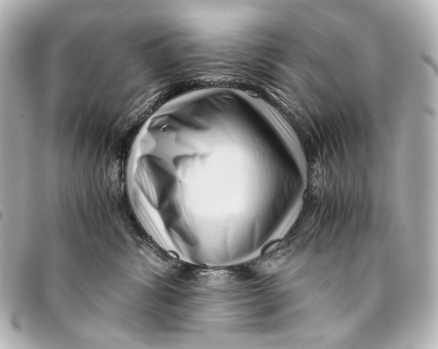 X0000094970428200712201227