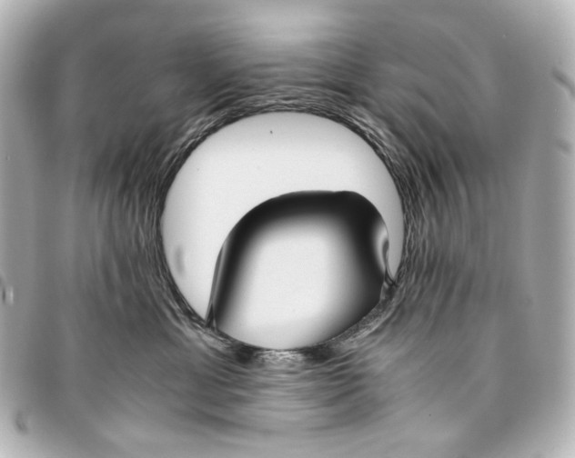 X0000094970429200712201227