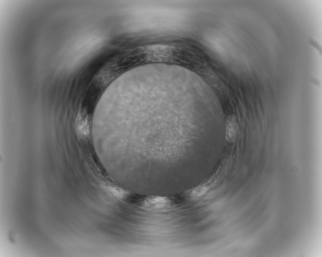 X0000094970431200712201226