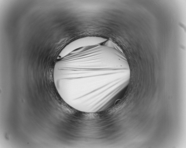 X0000094970432200712201226