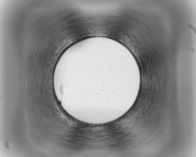 X0000094970433200712201226