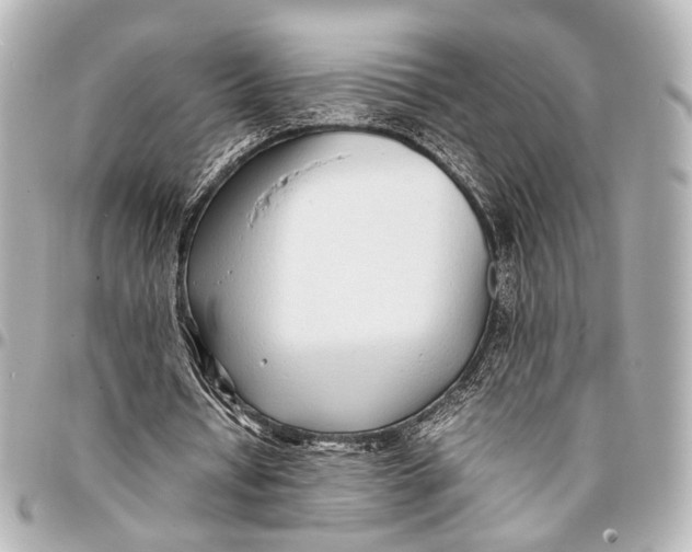 X0000094970434200712201226