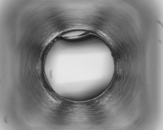 X0000094970436200712201226