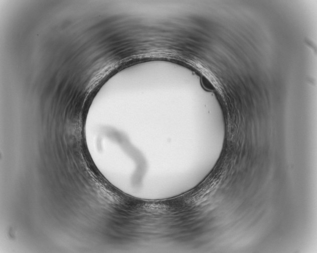 X0000094970437200712201226