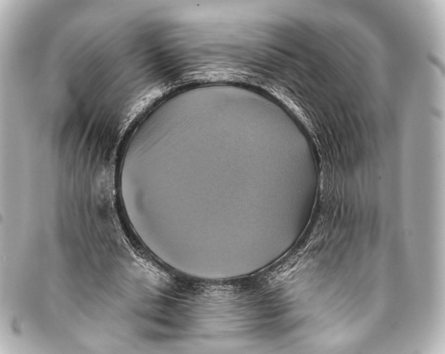 X0000094970438200712201226