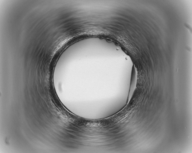 X0000094970440200712201226