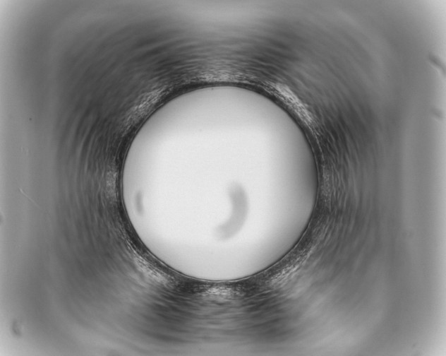 X0000094970441200712201226