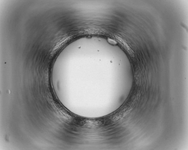 X0000094970442200712201226