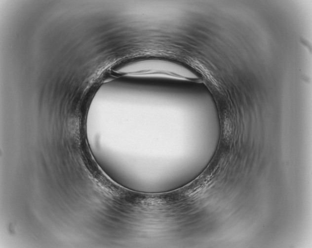 X0000094970444200712201226