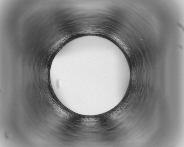 X0000094970445200712201226