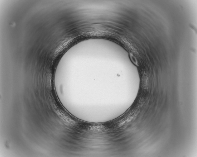 X0000094970446200712201226