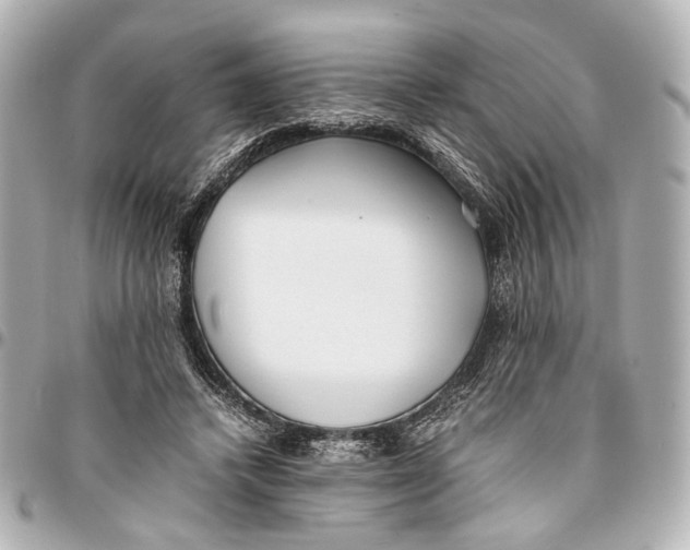 X0000094970448200712201226