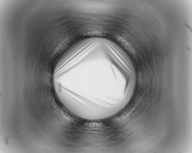 X0000094970449200712201226