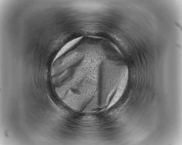 X0000094970451200712201226