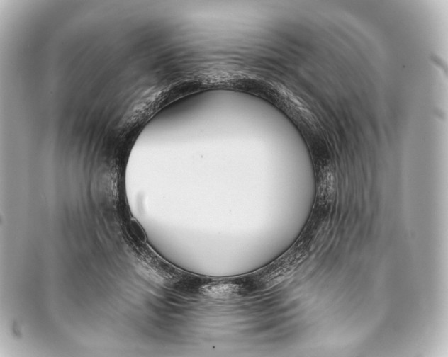 X0000094970452200712201226